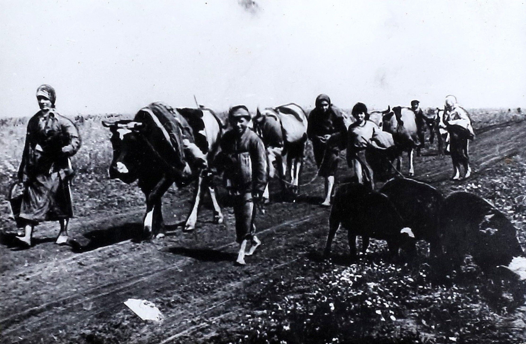 Возвращение жителей в освобожденные от фашистских войск родные места. Около д. Кубань Малоархангельского района